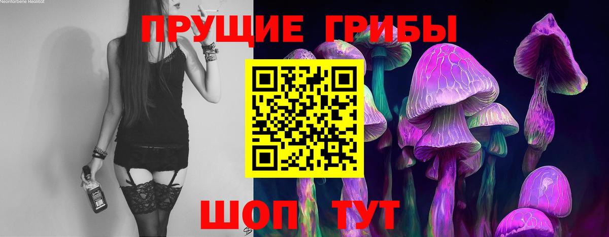 Псилоцибиновые грибы GOLDEN TEACHER  Галлюциногенные грибы прущие грибы  Орехово-Зуево  Вход с VPN 